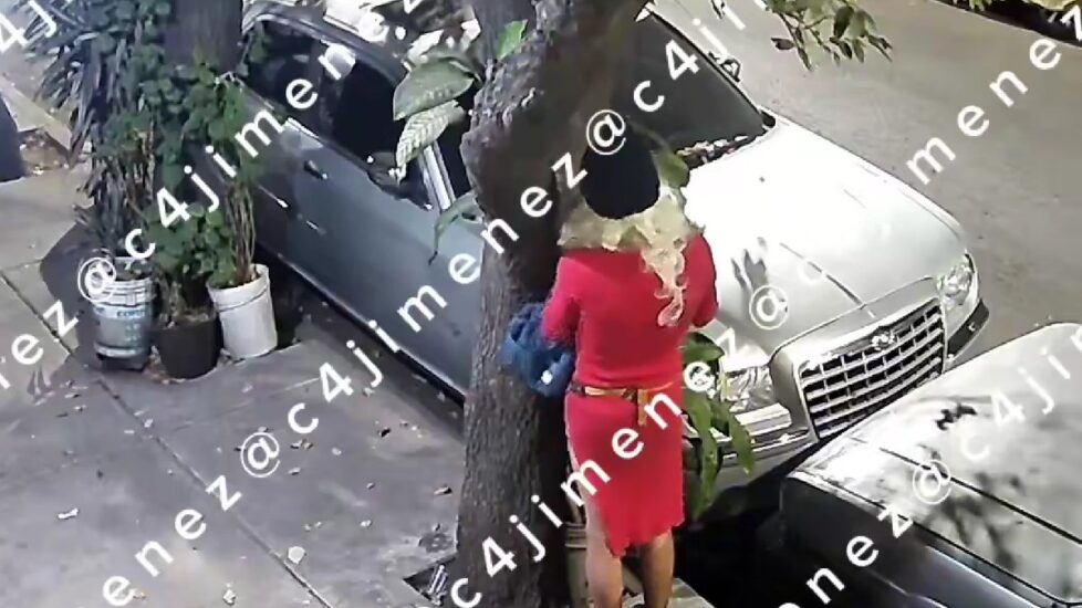 Un hombre se disfrazó de mujer para robar una planta en la alcaldía Venustiano Carranza. Conoce los detalles del insólito suceso.