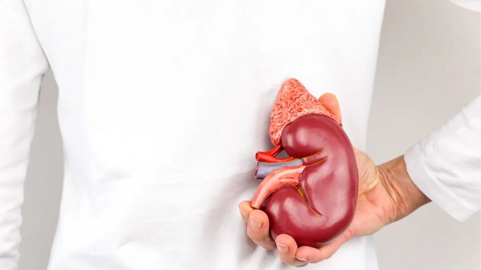 El estado de Nuevo León registra 25 nuevos casos de cáncer de riñón, ocupando un preocupante cuarto lugar en el país.